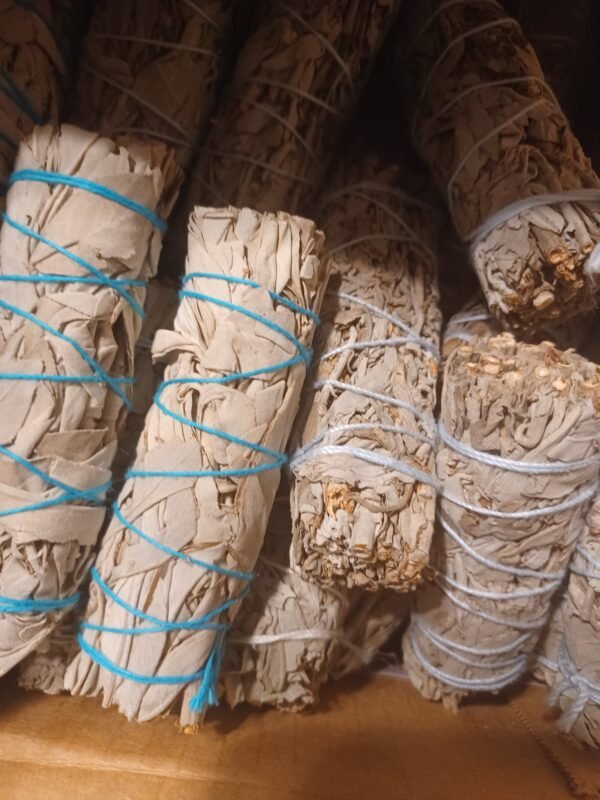 20220921_181929.jpg White Sage Bundle| Energy Clearing