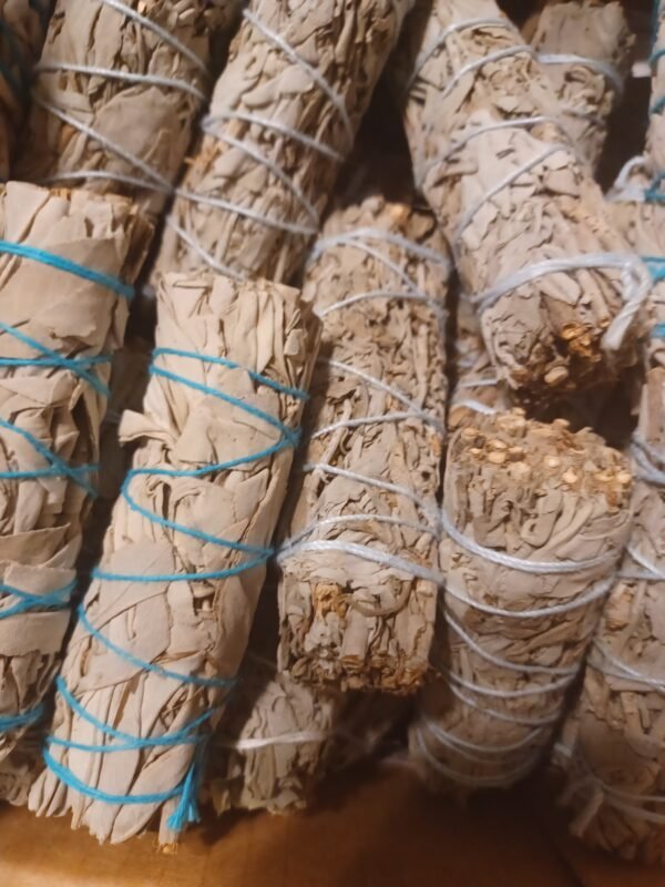 20220921_181933.jpg White Sage Bundle| Energy Clearing