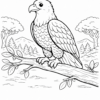 Águila en rama de árbol Expedicion Selva - Colorea tu Aventura