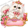 Sticker Personalizado - Soy Duquesa