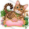 Sticker Personalizado - Soy Kiara