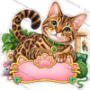 Sticker Personalizado - Soy Kiara