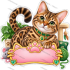 Sticker Personalizado - Soy Kiara