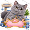 Sticker Personalizado - Soy Winston