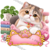 CAT-015-2x2-PREVIEW Sticker Personalizado - Soy Chloe
