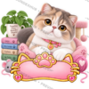 CAT-015-3x3-PREVIEW Sticker Personalizado - Soy Chloe