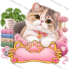 CAT-015-4x4-PREVIEW Sticker Personalizado - Soy Chloe