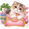 CAT-015-5x5-PREVIEW Sticker Personalizado - Soy Chloe