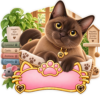 Sticker Personalizado - Soy Sterling