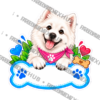 Sticker Personalizado - Soy Nube